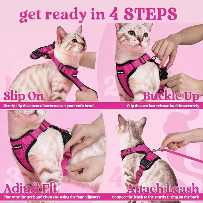 rabbitgoo Cat Harness and Leash for Walking, Escape Proof Soft Adjustable Vest Harnesses for Cats, Easy Control Breathable Reflective Strips Jacket, Rose Red, XS