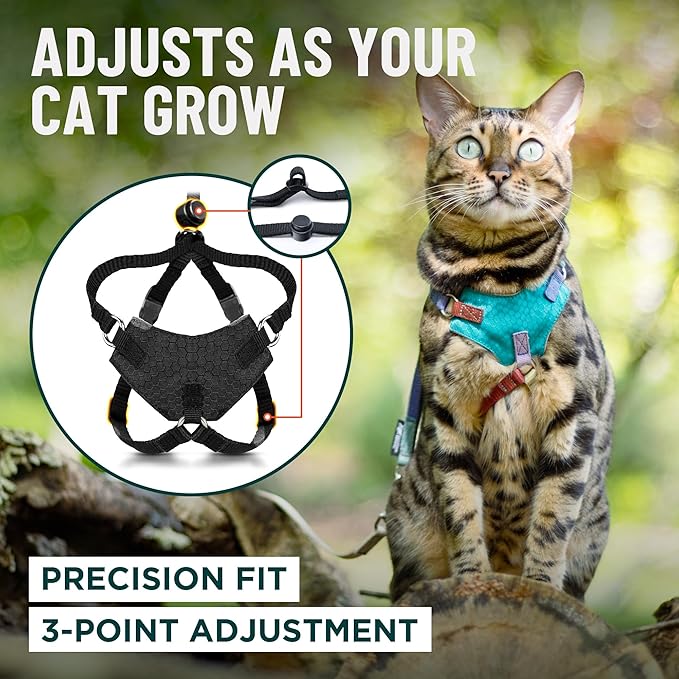 Houdini™ Escape Proof Kitten Harness and Leash Set by OutdoorBengal – Black, Small Cat Harness for Walking