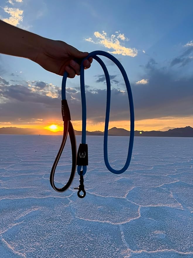 ShawnCo Basecamp Rope Dog Leash- Premium, Durable Pet Leash with Soft Neoprene Padded, Reflective Handle for Small, Medium and Large Dogs (ICY Lilac, 6 Feet)