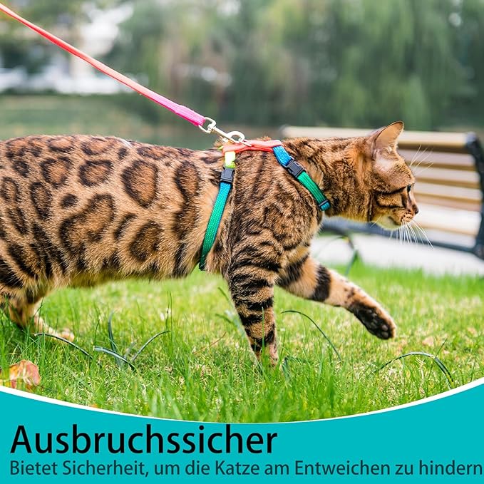 PUPTECK Adjustable Cat Harness and Leash Set Escape Proof Kitten Strap Collar for Walking Travel, Multicolor