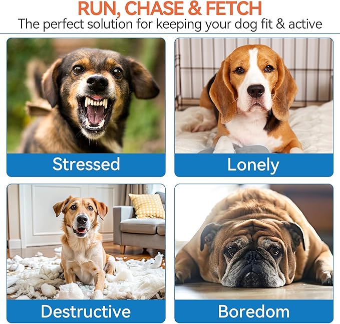 ALL FOR PAWS 2.5" Tennis Balls for Dogs, Dog Balls for Ball Launcher Toy, Bouncy & Durable Fetch Balls for Medium Large Dogs, 4 Pack Fetch Toy for Outdoor Play