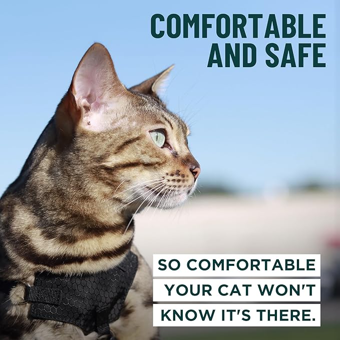 Houdini™ Escape Proof Cat Harness and Leash Set by OutdoorBengal – Turquoise, Medium Cat Harness for Walking