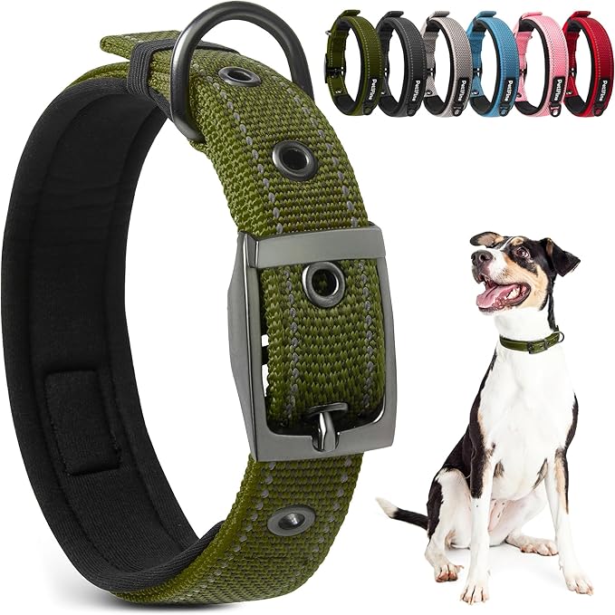 PetiFine Dog Collars for Small Dogs, Neoprene Padded Dog Collar, Reflective Heavy Duty Pet Collars with Durable Metal Belt Buckle for Walking, Green, S
