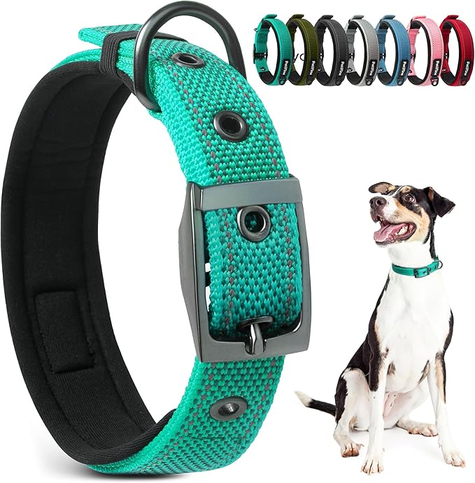 PetiFine Dog Collar for Large Dogs, Neoprene Padded and Adjustable, Reflective Wide Heavy Duty Pet Collars with Durable Metal Belt Buckle for Walking, Teal, L