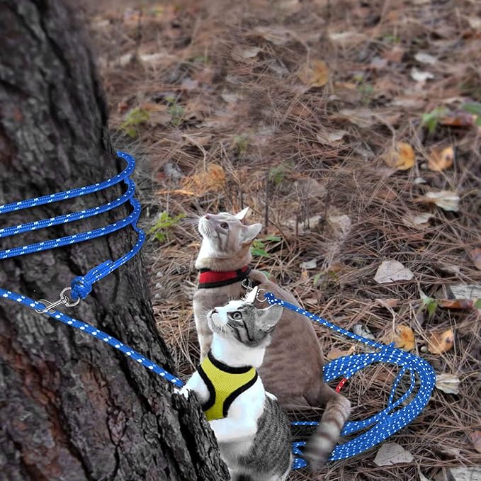 Rypet Reflective Cat Long Leash - 30 FT Escape Proof Walking Leads Yard Long Leash Durable Safe Personalized Extender Leash Traning Play Outdoor for Kitten, Puppy, Rabbit and Small Animals