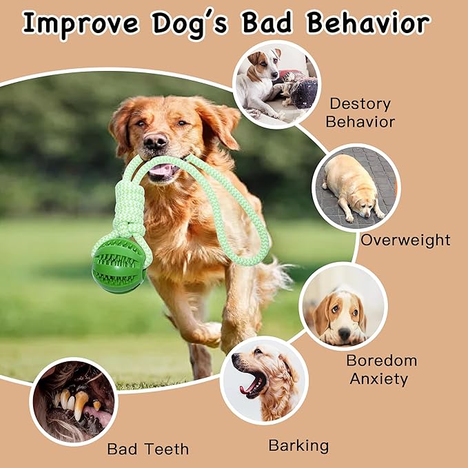 Dog Rope Toy for Small and Medium Dogs, Interactive Rope Toy for Dogs, Tug of War, Teeth Cleaning, Training, Fetch Outdoor Puppy Chew Toys with Rubber Ball (Green)