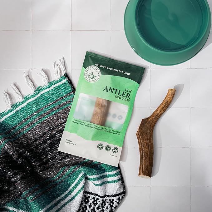 Mountain Valley Elk Antlers for Dogs - 100% Natural & Organic Chew for Aggressive Chewers, No Odor, No Mess, Long Lasting - Wild-Foraged Naturally Shed Antlers in USA - Grade A, Whole Large (1 Pack)