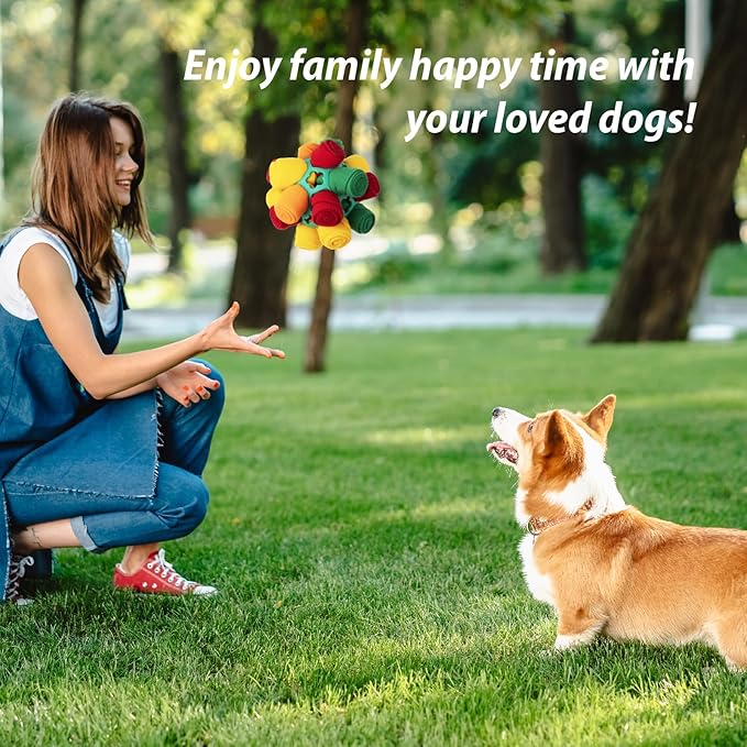 PAWISE Snuffle Ball for Dogs, Sniffle Treat Puzzle Toy, Dog Snuffle Ball Slow Feeder, Enrichment Toy for Mental Stimulation, Machine Washable for Small Medium Large Dogs (Random Color Streaks) (Small)