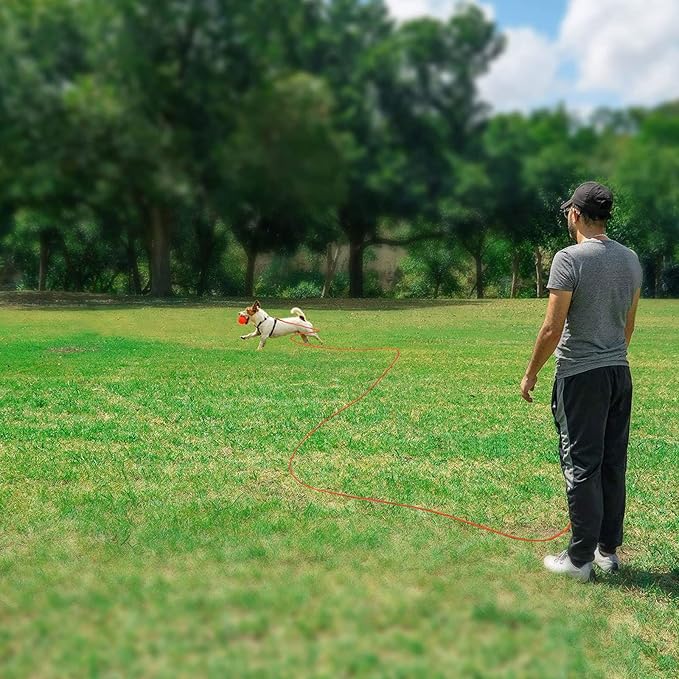 Rypet Reflective Cat Long Leash - 50 FT Escape Proof Walking Leads Yard Long Leash Durable Safe Personalized Extender Leashes Traning Play Outdoor for Kitten, Puppy, Rabbit and Small Animals