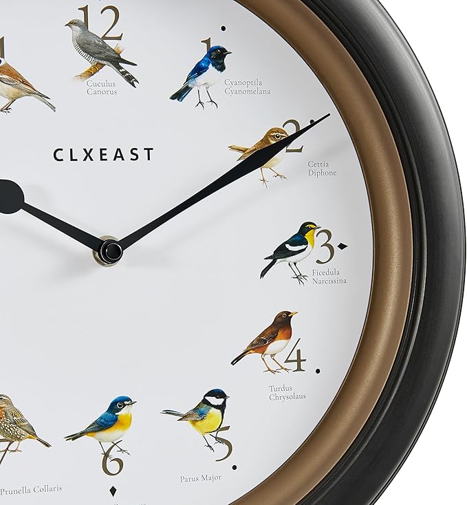 CLXEAST 13.3 Inch Singing Bird Wall Clock with Original 12 Native Recordings Sounds,Auto Night Silence,Gift for Bird Lovers,Oil Rubbed Bronze Black Finish,House Warming Gifts New Home