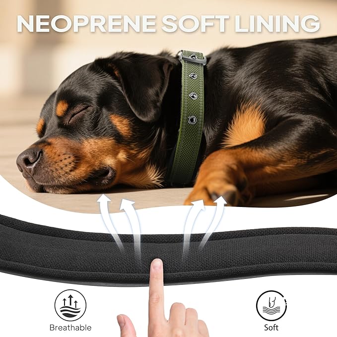 PetiFine Dog Collars for Small Dogs, Neoprene Padded Dog Collar, Reflective Heavy Duty Pet Collars with Durable Metal Belt Buckle for Walking, Green, S