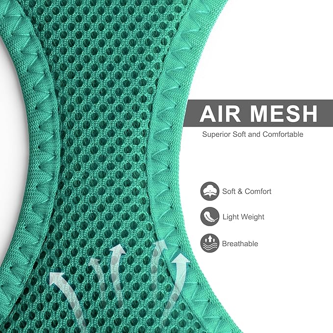 Fida Cat Harness and Leash Set for Walking Kitten and Puppy, Escape Proof Kitten Harness with Breathable Lightweight Soft Mesh, Adjustable Reflective Step-in Design. (S, Green)