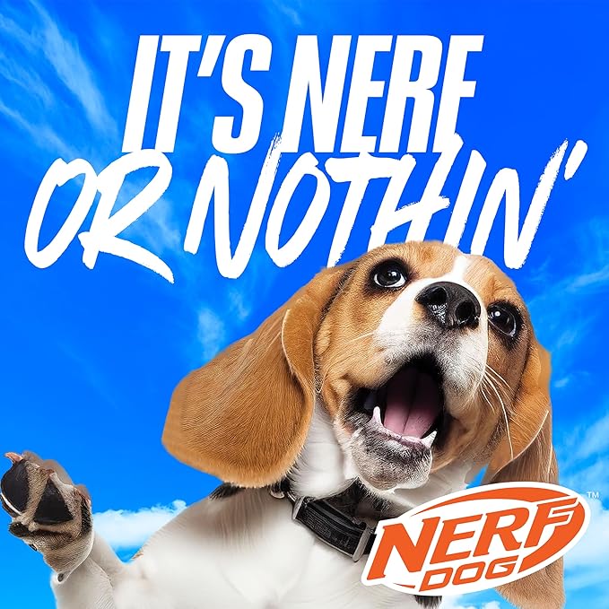 Nerf Dog Nylon Flyer Dog Toy, Flying Disc, Lightweight, Durable and Water Resistant, Great for Beach and Pool, 9 inch diameter, for Medium/Large Breeds, Single Unit, Orange