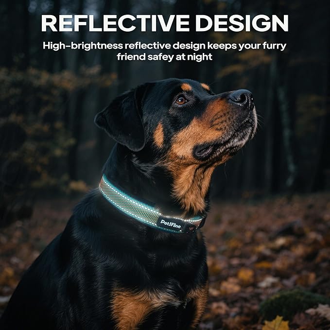 PetiFine Dog Collars for Small Dogs, Neoprene Padded and Adjustable, Reflective Wide Heavy Duty Pet Collars with Durable Metal Belt Buckle for Walking, Teal&Orange, S