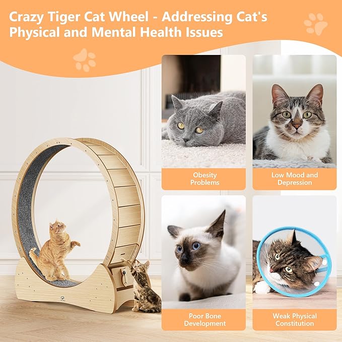 Cat Wheel for Indoor Cats - 47" Large Cat Exercise Wheels, Cats Running Wheel, Cat Treadmill