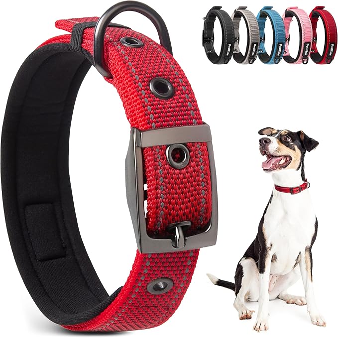 PetiFine Dog Collar with Metal Buckle, Heavy Duty Dog Collar with Soft Neoprene Padded, Adjustable Reflective Nylon Dog Collars for Small Medium Large Dogs, Red,S