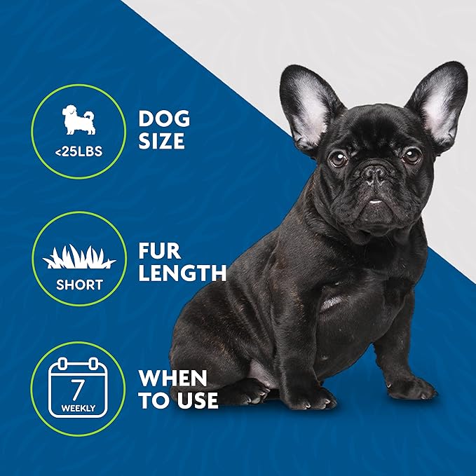 FURminator Small Dog Undercoat deShedding Tool, Short Hair, Reduces Loose Hair from Shedding