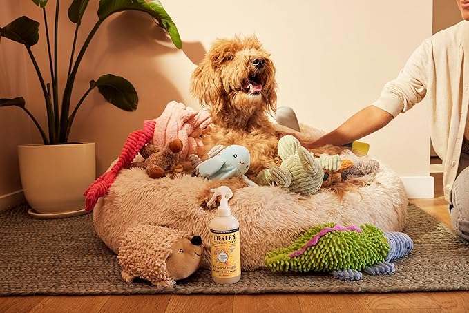 MRS. MEYER'S CLEAN DAY Pet Odor Neutralizer, Orange Blossom Scent, 12oz