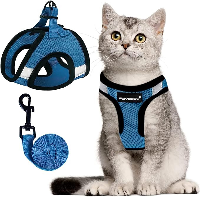 FAYOGOO Cat Harness, Cat Leash and Harness Set for Walking Escape Proof, Harness for Small Cats/Small Dogs, Large Kitten/Puppy Harness and Leash, Harness for Cats S-XXL(Tranquil Teal, XX-Large)