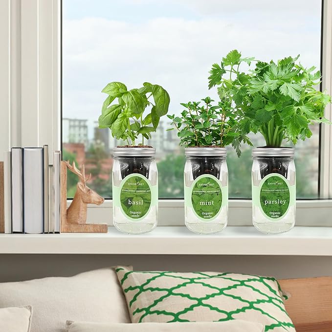 Hydroponic Herb Growing Kit Set, Self-Watering Mason Jar Herb Garden Starter Kit Indoor, Windowsill Herbs Garden, Grow Your Own Herbs from Organic Seeds (Basil, Mint, Parsley)