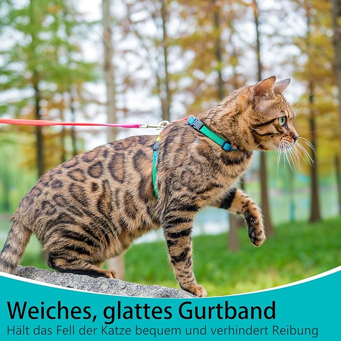 PUPTECK Adjustable Cat Harness and Leash Set Escape Proof Kitten Strap Collar for Walking Travel, Multicolor