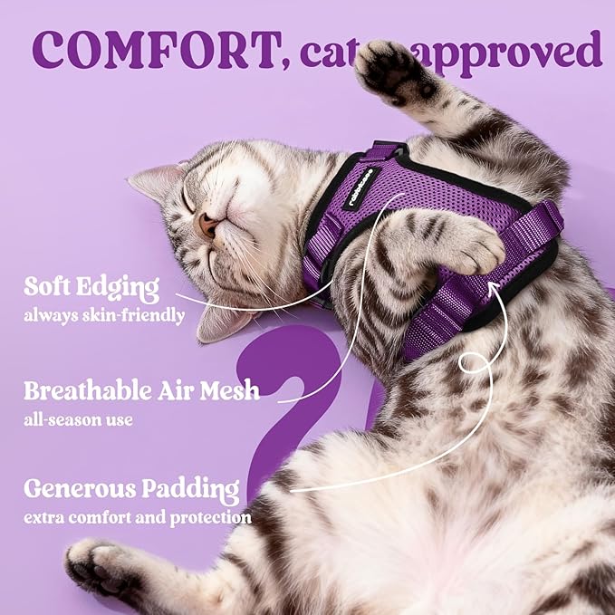 rabbitgoo Cat Harness and Leash for Walking, Escape Proof Soft Adjustable Vest Harnesses for Cats, Easy Control Breathable Reflective Strips Jacket, Purple, M