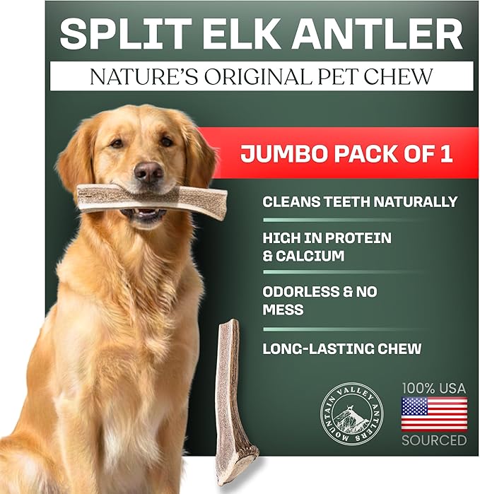 Mountain Valley Elk Antlers for Dogs - 100% Natural & Organic Chew for Aggressive Chewers, No Odor, No Mess, Long Lasting - Wild-Foraged Naturally Shed Antlers in USA - Grade A, Split Jumbo (1 Pack)