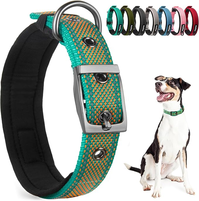 PetiFine Dog Collar for Large Dogs, Neoprene Padded and Adjustable, Reflective Wide Heavy Duty Pet Collars with Durable Metal Belt Buckle for Walking, Teal&Orange, M
