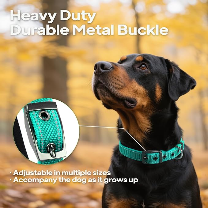 PetiFine Dog Collar for Large Dogs, Neoprene Padded and Adjustable, Reflective Wide Heavy Duty Pet Collars with Durable Metal Belt Buckle for Walking, Teal, L
