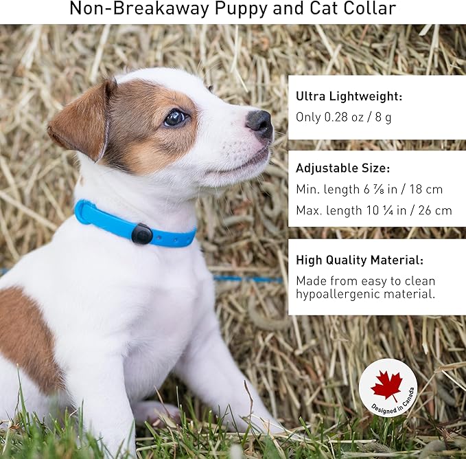 Dog Collar - Comfortable, Soft and Lightweight Adjustable Collar with Name Tag Ring for Miniature Dogs and Puppies - Non Breakaway Cat Collar by Nuvuq (Blue, Mini)