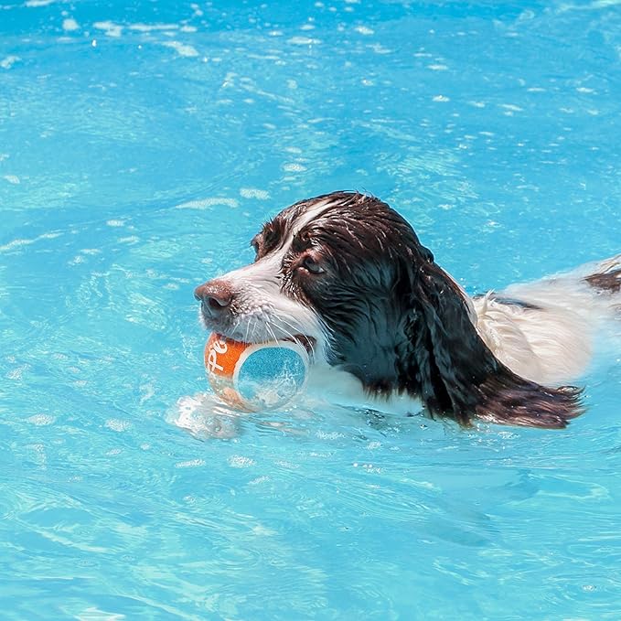 ALL FOR PAWS 2.5" Tennis Balls for Dogs, Dog Balls for Ball Launcher Toy, Bouncy & Durable Fetch Balls for Medium Large Dogs, 4 Pack Fetch Toy for Outdoor Play