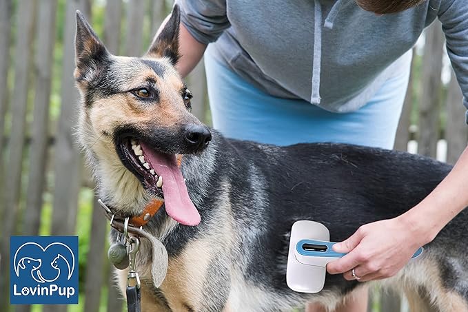 Dog Grooming Slicker Brush, Dogs and Cat Self Cleaning Brushes, Best Brushing for Professional Grooming and Massaging Doggies and Cats, Simple Cleaning with Retractable Curved Bristles