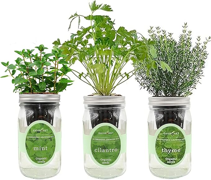 Hydroponic Growing Kit Set, Self-Watering Mason Jar Herb Garden Starter Kit Indoor, Window Herb Garden, Grow Your Own Herbs from Organic Seeds (Mint, Cilantro and Thyme)