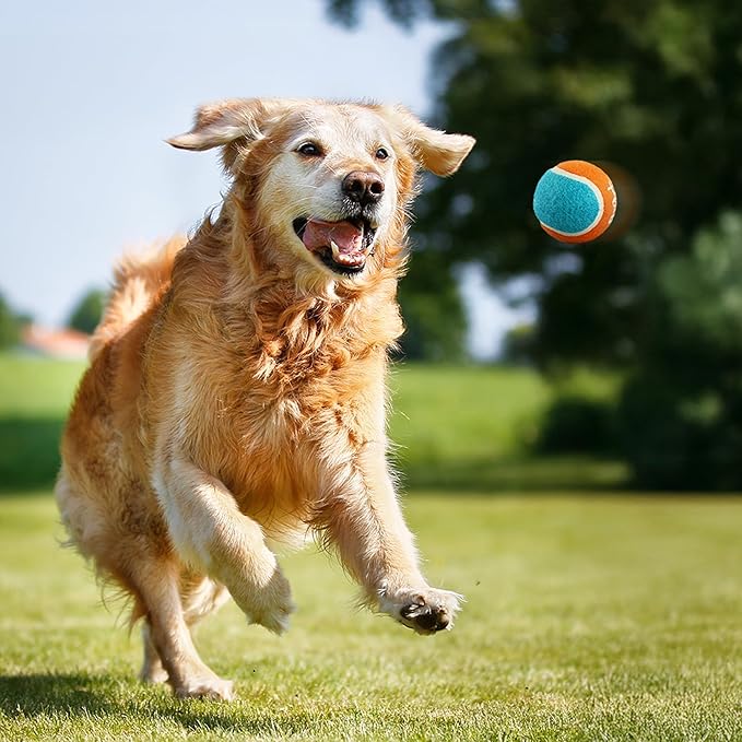 ALL FOR PAWS 2.5" Tennis Balls for Dogs, Dog Balls for Ball Launcher Toy, Bouncy & Durable Fetch Balls for Medium Large Dogs, 4 Pack Fetch Toy for Outdoor Play