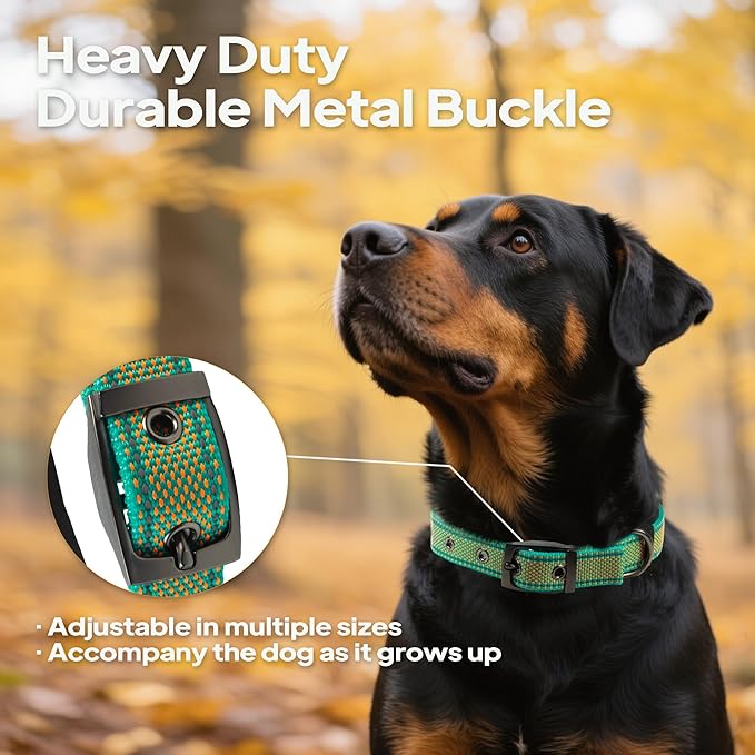 PetiFine Dog Collars for Small Dogs, Neoprene Padded and Adjustable, Reflective Wide Heavy Duty Pet Collars with Durable Metal Belt Buckle for Walking, Teal&Orange, S