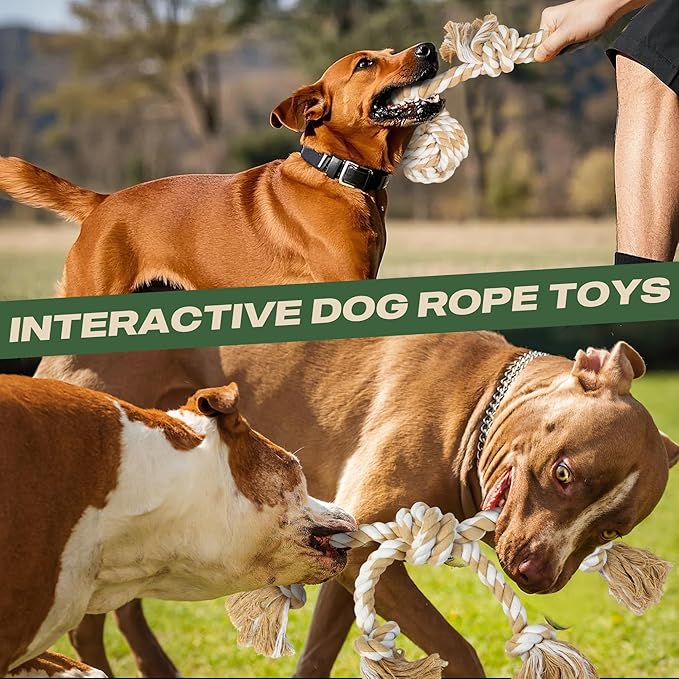 TwoEar Dog Rope Toys for Large Dogs - 3 Pack Indestructible Natural Cotton Rope Toys for Dogs Large/Medium Breeds - Tough Chew Tug of War Dog Toy for Boredom, Teeth Clean