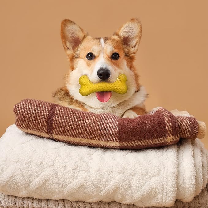 Playology Dog Toys | Dual Layer Bone Durable Chew Toy Bone for Dogs | Medium Apple Cider Scented Toy - Limited Edition Fall Scent | Easy to Clean and Made from Non Toxic Materials