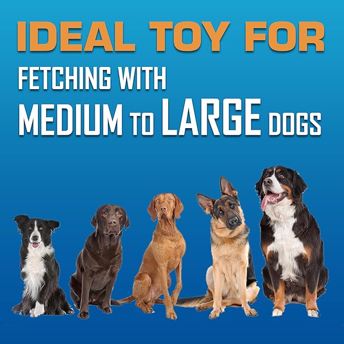 Nerf Dog Atomic Flyer Outdoor Dog Toy, 10 Inch Flying Disc Dog Fetch Toy, Rubber Dog Toy for Medium Dogs and Large Dogs, Red