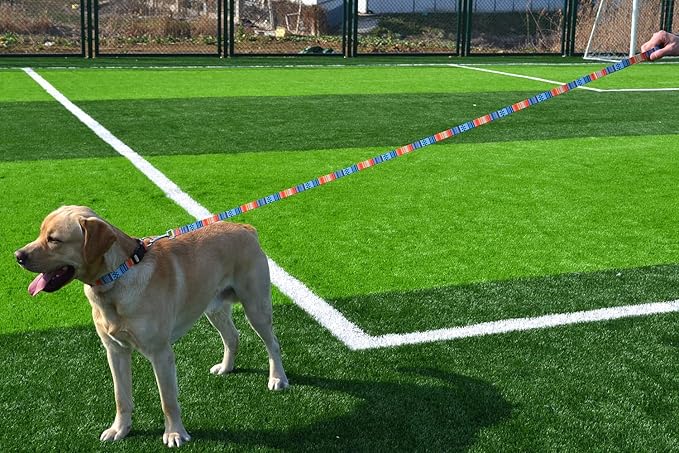 Dog Collar and Leash Set with Bohemia Floral Tribal Geometric Patterns - Soft Ethnic Style Collar Adjustable for Small Medium Large Dogs(Bohemian Orange Set,S)