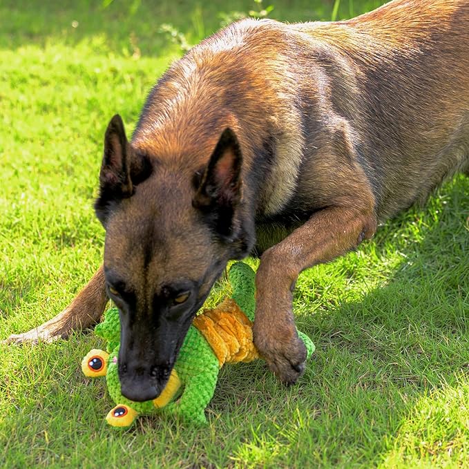 Dog Tug Toy, Durable Dog Toy for Large Breed, Tug of War Dog Squeaky Toys, Stuffed Plush Dog Toy with Crinkle Paper for Small, Middle, and Big Dogs(Frog)