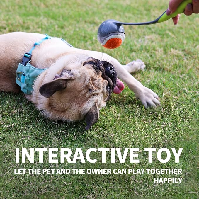 PAWISE Dog Ball Launcher for Small & Medium Dogs, 12.2" Dogs Fetch Toy with 2.3" Tennis Balll, Portable Dog Tennis Ball Thrower for Indoor & Outdoor Play, Lightweight, Durable & Hands-Free Pick-Up