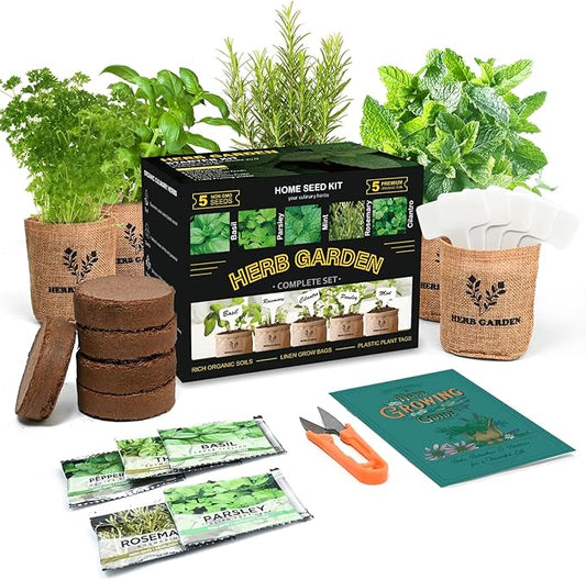 Indoor Herb Garden Starter Kit, 5 Non-GMO Herb Seeds - Basil, Parsley, Rosemary, Thyme, and Mint with Complete Planting Set for Kitchen Herb Garden DIY