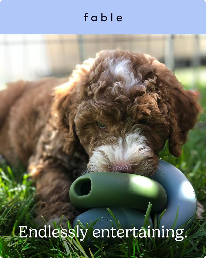 FABLE Falcon Treat Dispensing Dog Toy - Interlocking Design, 2 Cavity Dog Toy Treat Dispenser for Dry Food & Spreads - Interactive & Solo Play - No BPA - Purple