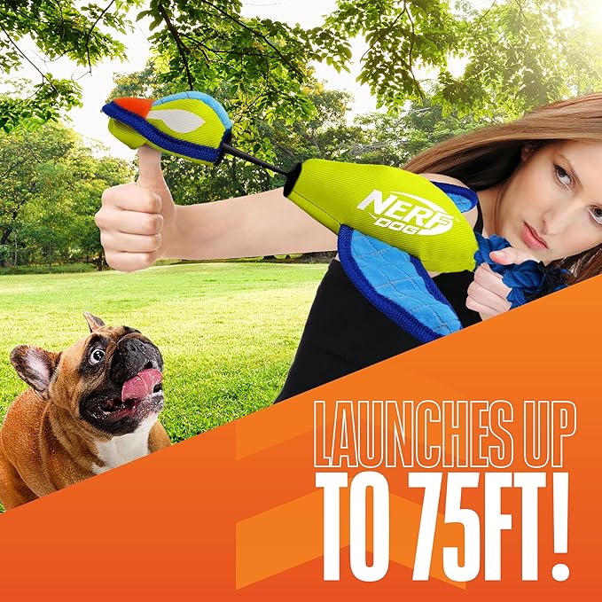 Nerf Dog 16.5in Nylon Ultraplush Crinkle Wing Launching Duck Dog Toy - Green/Light Blue