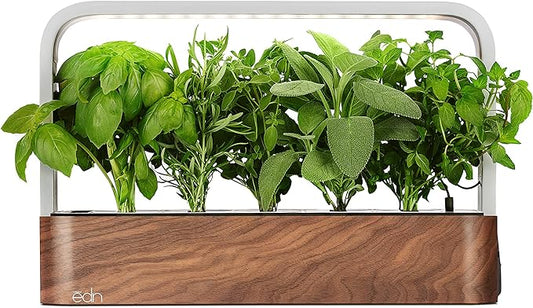 EDN SmallGarden with Basil SeedPods, Indoor Grow Smart Garden for iOS Devices - Fresh Home Grown Herbs, Plants and Flowers - Grow up to 10 Different Plants at Once