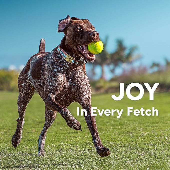 GoSports Pets Dog Ball Launcher - Ergonomic Tennis Ball Thrower for Dogs 20+ lbs - Includes Tosser and (2) 2.5 Inch Balls for Fetch