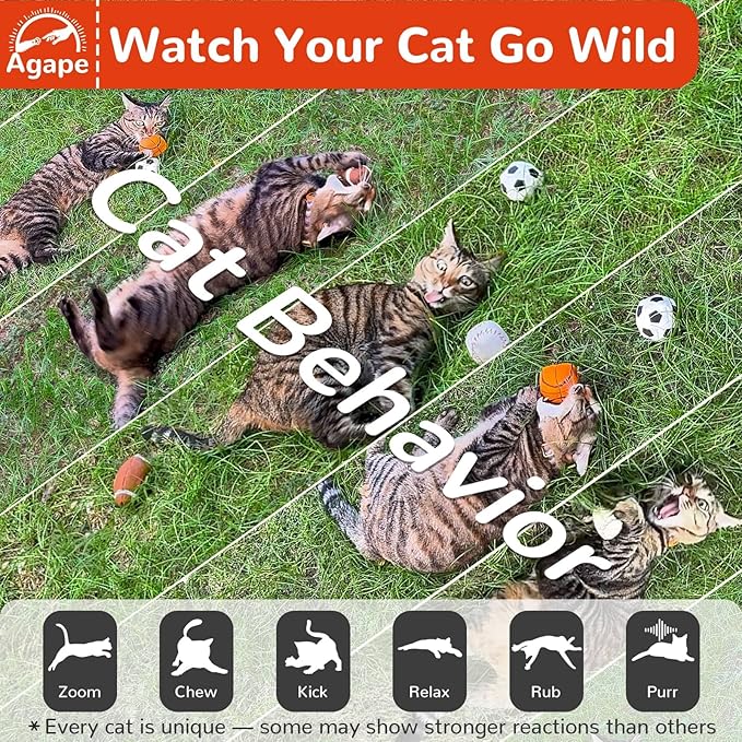 Agape 100% Catnip & Silvervine Filled Cat Toys, Interactive Chew & Kicker Balls for Indoor Cats, Enrichment and Teeth Cleaning Fun for Bored Cats and Kittens, 2 Pack Natural Crinkle Cat Toy with Sound