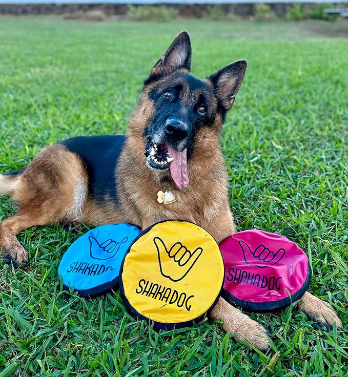 Shaka ZippyToss Flying Dog Disc Interative Fetch Toy 9" (Multi-Color, Pack of 5)