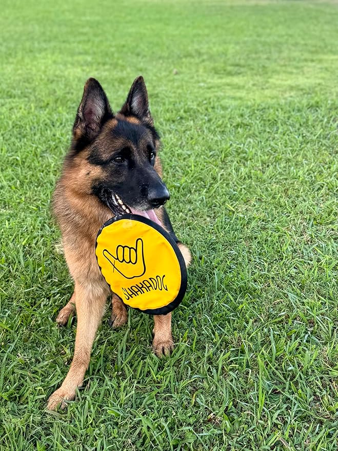 Shaka ZippyToss Flying Dog Disc Interative Fetch Toy 9" (Multi-Color, Pack of 5)