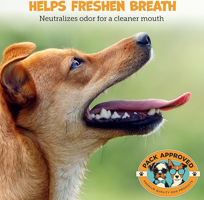 Dental Wipes for Dogs - Dog Teeth Wipes for Oral Care, Tartar and Plaque Remover - Cleans and Freshens Breath for Dogs with Fresh Apple & Mint Scent - Dog Teeth Cleaning Pads – 100 Count